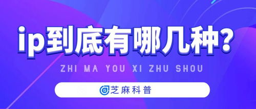 代理IP的种类与代理代办服务解析